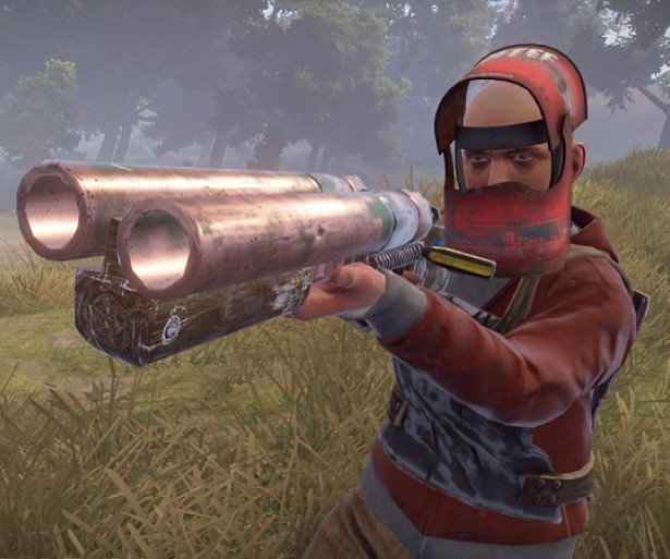 RUST Review