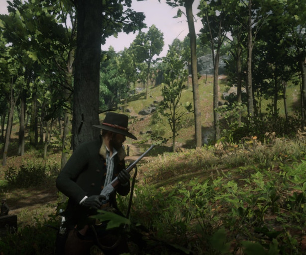 RDO Best Repeater, RDR2 Online Best Repeater, RDO Evans Repeater, RDR2 Online Evans Repeater, RDO Guns, RDR2 Online Guns, RDO Lancaster Repeater, RDR2 Online Lancaster Repeater