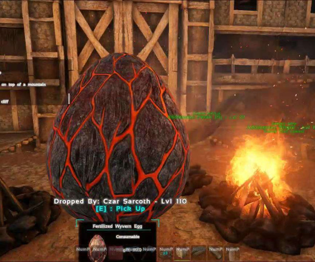 Ark Survival Evolved How To Keep Eggs Warm 