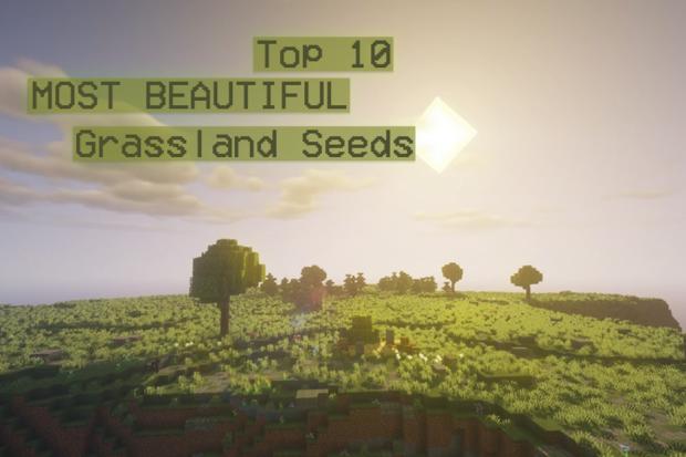 Thumbnail of a plains biome in Minecraft